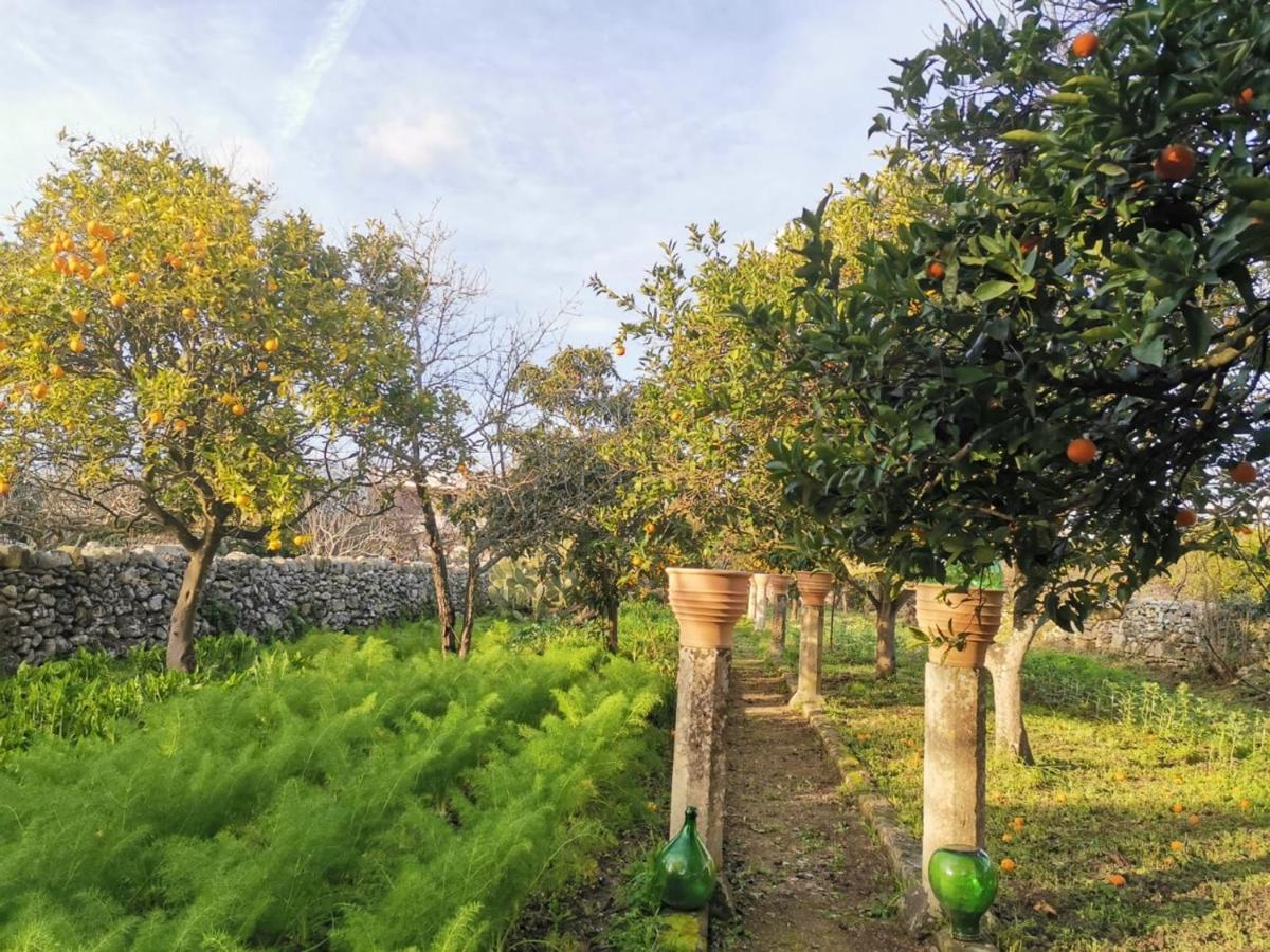 Dimora Margherita In Salento Struda Extérieur photo